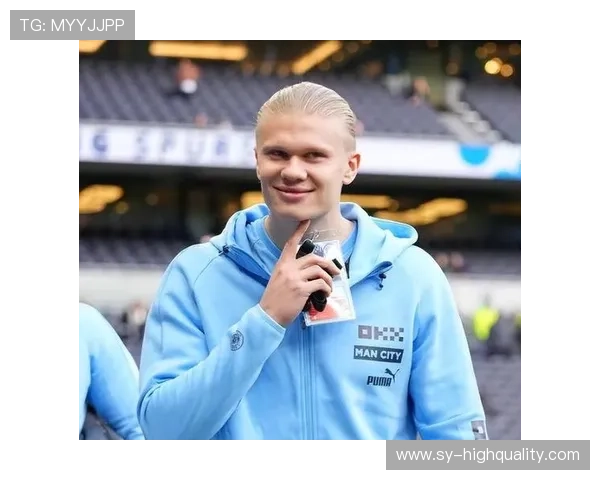 哈兰德多特核心 哈兰德多特核心