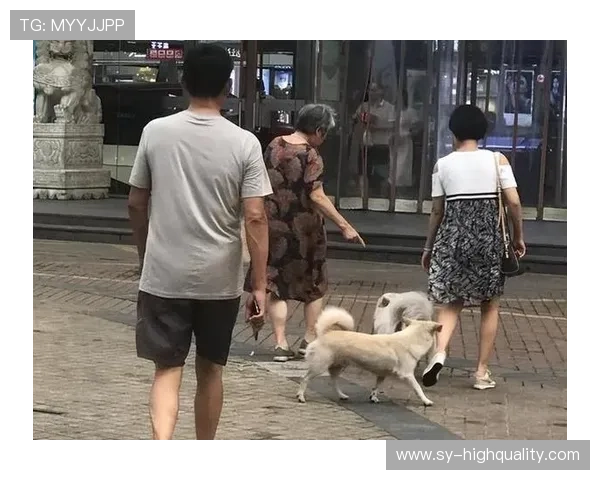 谌龙退役后住进月租8万的上海顶层复式，每天5点起床遛狗